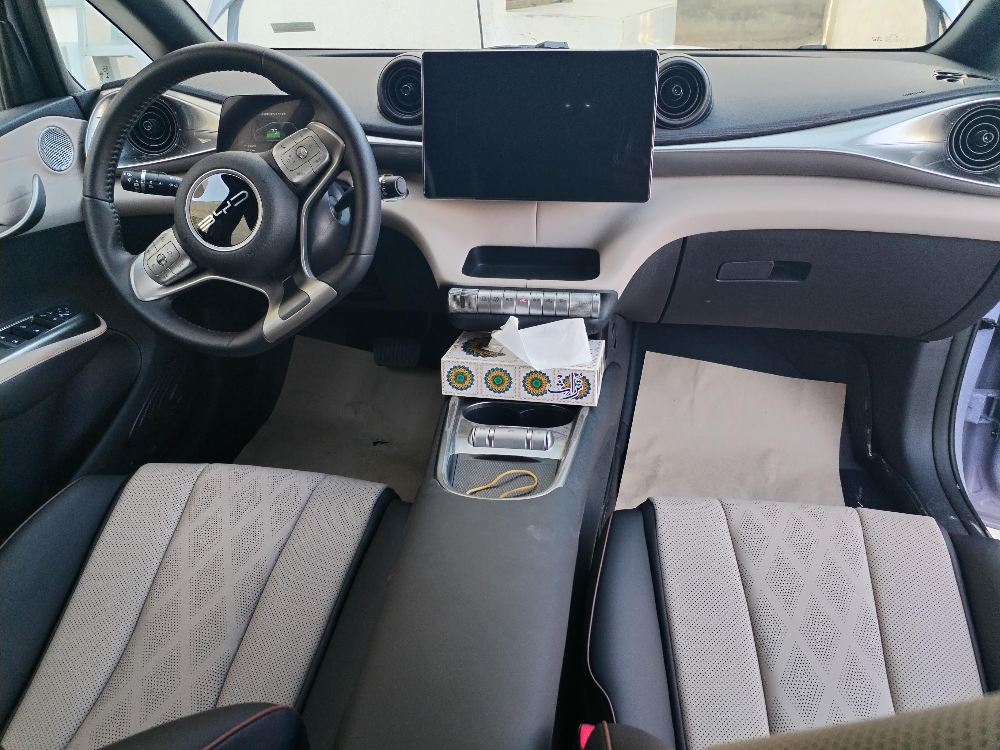 BYD Dolphin side view